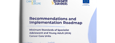 recommendations and implementation roadmap thubmnail